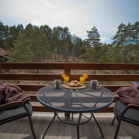 Apartament Pinewood *